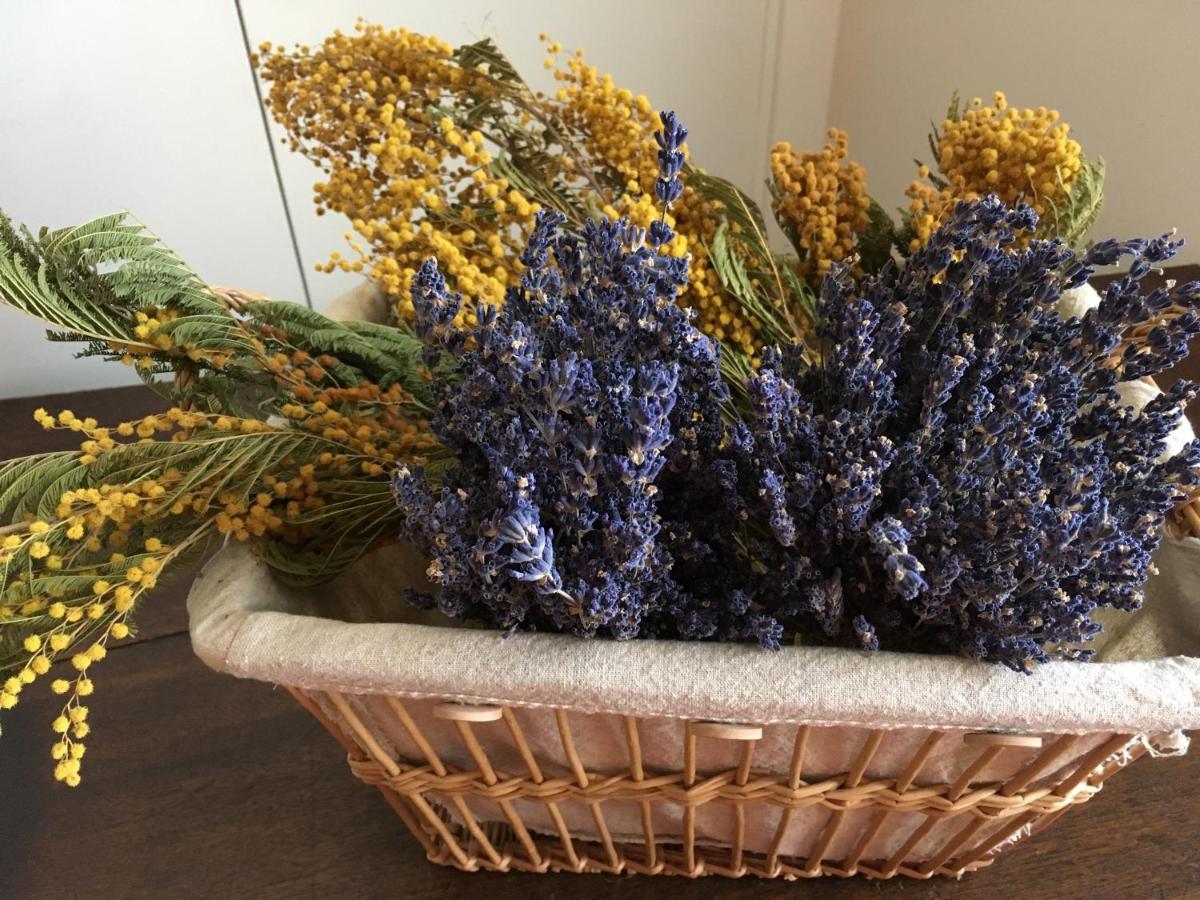 アヴィニョン Mas Halcyon Provence Bed & Breakfast エクステリア 写真