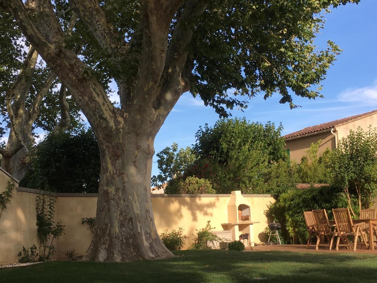 アヴィニョン Mas Halcyon Provence Bed & Breakfast エクステリア 写真
